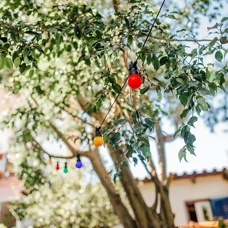 O Jardim Da Estefania *