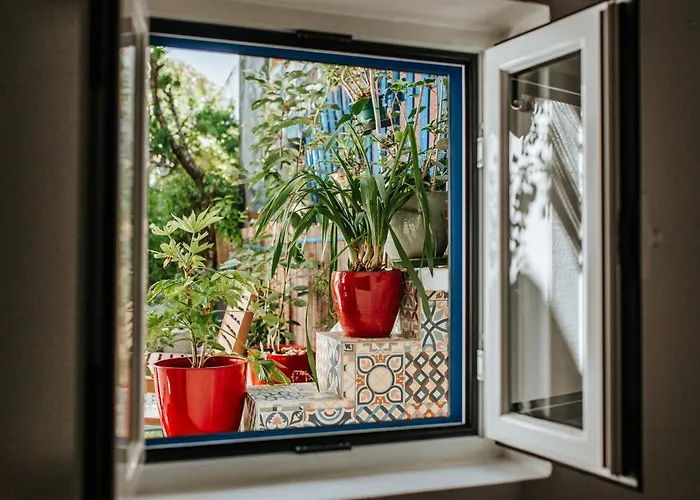 O Jardim Da Estefania