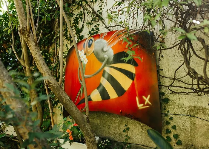 Appartement O Jardim Da Estefania *