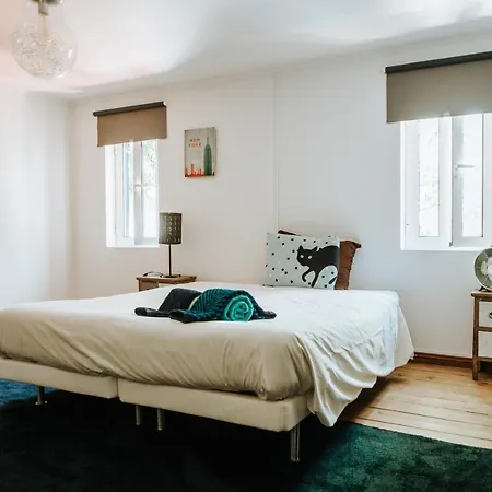 O Jardim Da Estefânia *