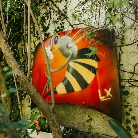 Lägenhet O Jardim Da Estefania *