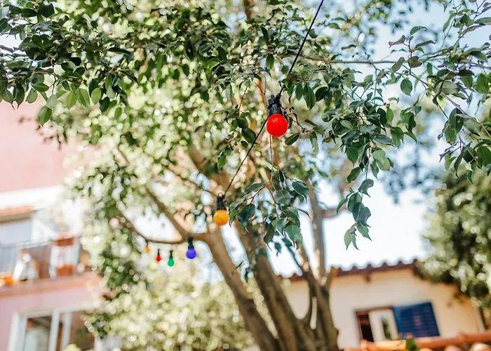 O Jardim Da Estefânia *